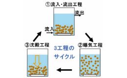 好気性グラニュール普及