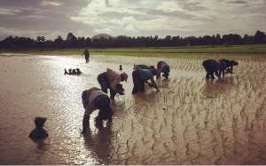 カンボジアが水の危機に直面していると考えたことはありますか？